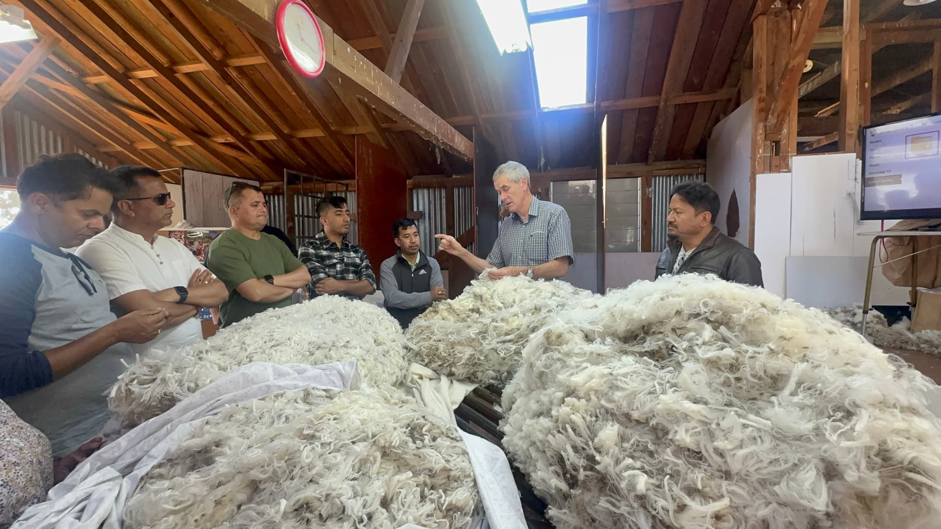 Tal Barahi partners at a New Zealand farm inspecting raw wool